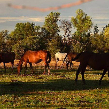 Hofmeyr Beaconsfield Farmヴィラ エクステリア 写真