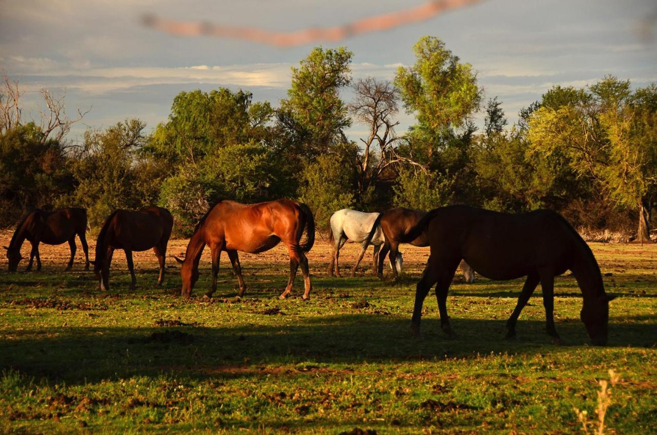 Hofmeyr Beaconsfield Farmヴィラ エクステリア 写真