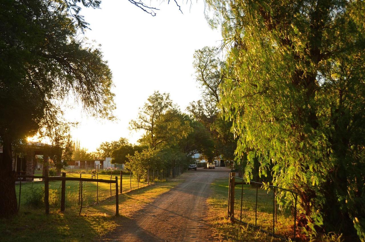 Hofmeyr Beaconsfield Farmヴィラ エクステリア 写真